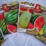 Kako klijati seme lubenice